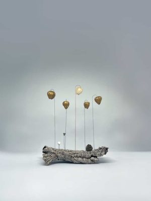 microcosmos - série les déambules